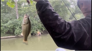 18 Minutes of Fishing In The Rain Caught Two Bass and 1 Bluegill [upl. by Walt334]