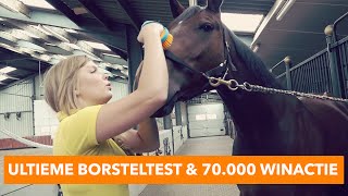 De ultieme borsteltest  70000 Winactie  PaardenpraatTV [upl. by Sawyere]