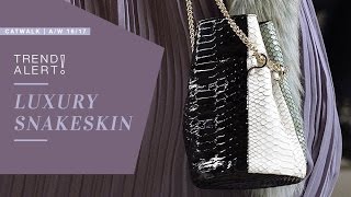 Trend Alert Luxury Snakeskin  AW 1617 [upl. by Margaretha]