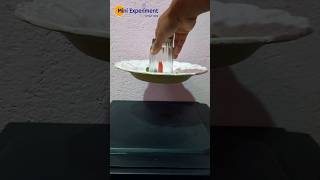 Plate And Glass Experiment shorts trending cube [upl. by Engdahl245]