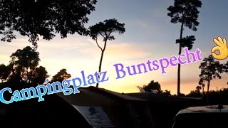 Campingplatz Buntspecht in Brandenburg camping Brandenburg outdoor [upl. by Carol-Jean]