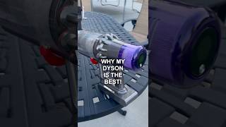 Destroying 100 Wasps With My Dyson [upl. by Kendrick]