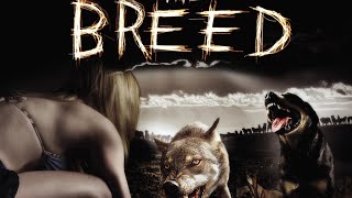 The  Breed Hollywood hindiUrdu dubbed movie explained \\Eazzy Point hollywood TheBreed movie [upl. by Sirraf365]