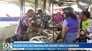 Canoas llenas de pescado en Barrancabermeja Santander [upl. by Reeta]