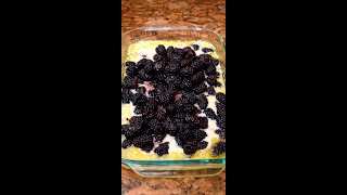 You have to try this Blackberry Cobbler [upl. by Jarrid]