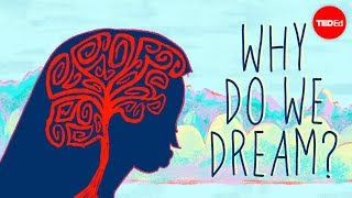 Why do we dream  Amy Adkins [upl. by Coussoule]