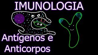 Aula Imunologia  Antígenos e Anticorpos  Imunologia 7 [upl. by Asiral]