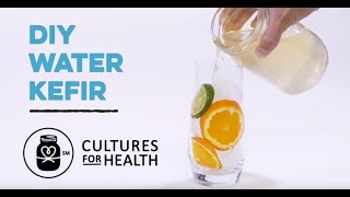 DIY Water Kefir  How to Make Water Kefir [upl. by Nevart33]