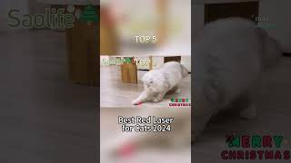 TOP 5 Best Red Laser for Cats 2024 [upl. by Bodi]