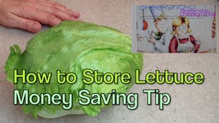 How to store a Lettuce Money Saving Home Hint cheekyricho [upl. by Aleafar]