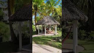 🇩🇴 Catalonia Bavaro Beach Punta Cana Dominican Rep 🌴shortsvideo shorts shortvideo travel [upl. by Waylan]