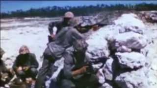 WW2 Battle of Peleliu  Color Footage [upl. by Aztin]