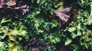 How to Make Kale Chips  Minimalist Baker Recipes [upl. by Letsyrk]