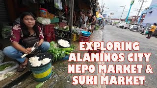 Exploring Alaminos City Nepo Market And Suki Market  Walk Tour At Alaminos City Pangasinan [upl. by Irwin466]