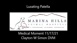 Luxating Patella [upl. by Winona219]