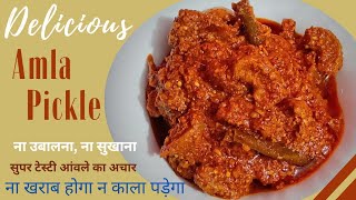 Amla Achar Recipe  How To Make Amla Achar At Home  Amla Ka Achar Kaise Banate Hai [upl. by Ecadnac]