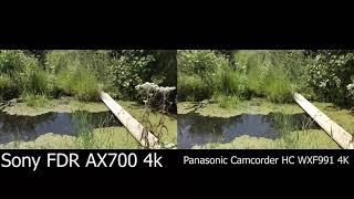 Sony FDR AX700 4k VS Panasonic Camcorder HC WXF991 4K at Three Rivers State Wildlife Management Area [upl. by Drageruaeb]