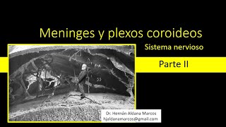 Meninges y plexos coroideos Parte II Hernán Aldana Marcos [upl. by Rafferty]