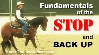 How to Train a Horse to Stop amp Back Up  Basics of sliding stop for reining or cutting [upl. by Malilliw]