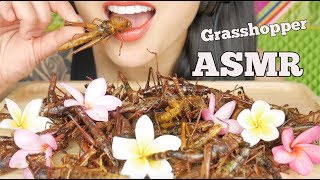 ASMR FRIED GRASSHOPPER ตั๊กแตนทอด CRUNCHY EATING SOUNDS SAVAGE EXOTIC FOOD  SASASMR [upl. by Aelanej]