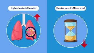 Bacterial Burden in CLAD Patients Predicts Survival and Azithromycin Response [upl. by Ariad]