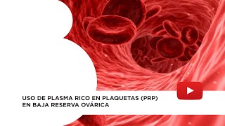 Técnicas de quotrejuvenecimiento ováricoquot Plasma rico en plaquetas PRP [upl. by Akirdnwahs]