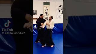 Aikido master amazing skills martial arts extreme stunts hapkido weak points dim mak touch death [upl. by Desdee866]