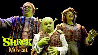 The Opening Number  Shrek the Musical [upl. by Cirilo490]