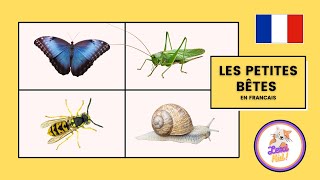 Les Insectes pour enfants  Apprendre les Noms et Bruits [upl. by Jerrylee843]