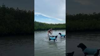 Woman goes hands on with shark shark ponce newsmyrna [upl. by Willet]