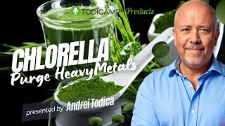 How Chlorella Helps in Detoxifying Your Body and Eliminate Heavy Metals [upl. by Akialam322]