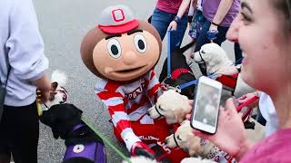 Brutus Buckeye Nationals Video 20172018 [upl. by Battat]