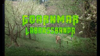 LaBrassBanda  Goaßnmaß Official Video [upl. by Lane]