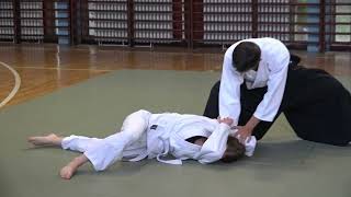 Damjan Cingarski Aikido Embukai  promo clip [upl. by Painter]