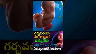 Amniotic Fluid during pregnancy pregnant shorts youtubeshorts mom [upl. by Pasho]