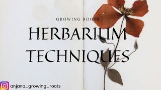 HERBARIUM TECHNIQUES amp PREPARATION  Malayalam Explanation  BSc Botany Zoology Plant Science [upl. by Yren]