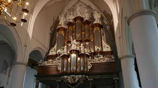 Sietze de Vries demonstrates the 1781 Hinsz organ in the Martinikerk Bolsward [upl. by Annauqal]