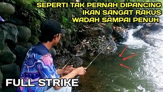 PANEN Mancing Nilem ikan Makan Terus Wadah Sampai Penuh LM38 [upl. by Jorry]