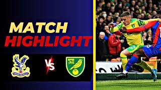 Crystal Palace VS Norwich  Highlights  England Carabao Cup  28 August 2024 [upl. by Doniv]