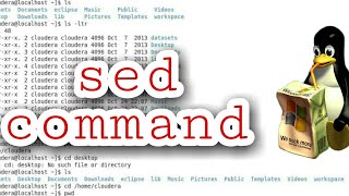 sed command in linux UrduHindi use of sed account [upl. by Rodi]