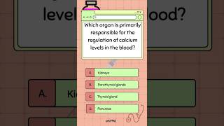 🦴 This LittleKnown Organ is the Key to Strong Bones mededtrivia bonehealth quiz smarttrivia [upl. by Alegnat]