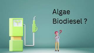 What is Algae Biodiesel  How to make algae biodiesel [upl. by Torr]