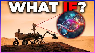 What Happens If We Find Extraterrestrial Life [upl. by Cristy]