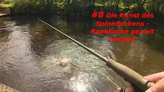 8 Die Kunst des Spinnfischens  Raubfische gezielt fangen 🎣 [upl. by Allana]