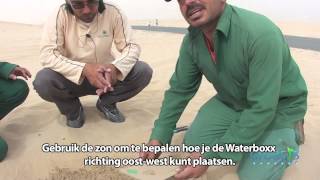 Boom plant instructie film voor antiverwoestijning in Dubai [upl. by Sathrum940]