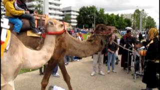 VIDEO Châtellerault cétait la fête à Ozon [upl. by Ribak]