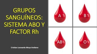 🔴 GRUPOS SANGUÍNEOS SISTEMA ABO Y FACTOR RH [upl. by Annahahs937]