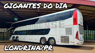 DOMINGO VENTOSO NA RODOVIÃRIA DE LONDRINAPR  MOVIMENTAÃ‡ÃƒO DE Ã”NIBUS DAS 1240 Ã€S 1325 [upl. by Mcclees]