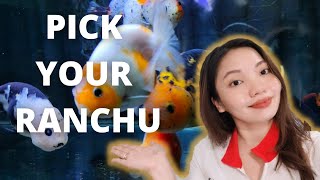 HOW TO IDENTIFY DIFFERENT TYPES OF RANCHU [upl. by Yvan]