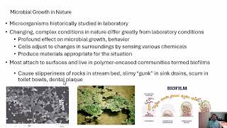 Microbiology Natural Population Growth [upl. by Eastman884]